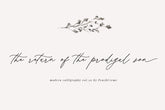 Hermitage Modern Script